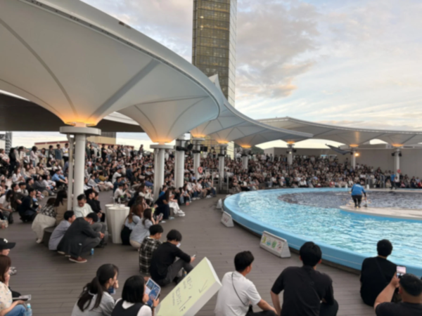 夜のイルカプログラムを楽しむ参加者