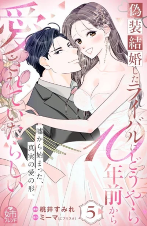 偽装結婚したラブ どうやら10年前から